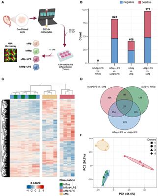 Transcriptomic analysis identifies lactoferrin-induced quiescent circuits in neonatal macrophages